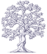 Sizofakulwazi Foundation Logo